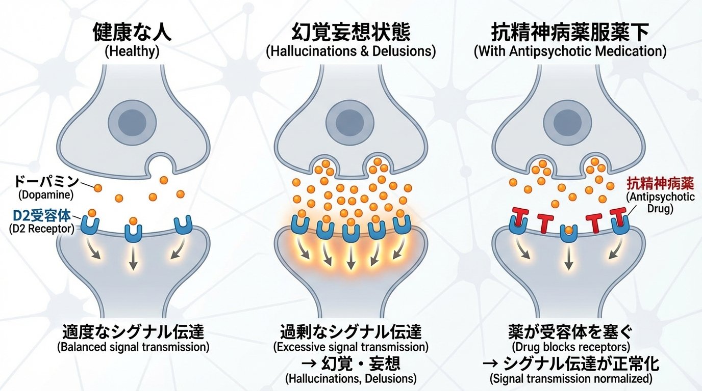 Dopamine and Schizophrenia Synapse Diagram