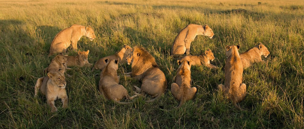 Create a Photo with Hidden Words